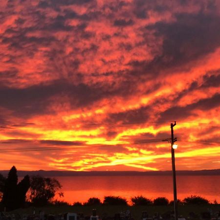 Windsor Lodge & Caravan Park Waitahanui 외부 사진